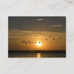 Visions of St. Augustine, Florida Business Card