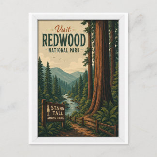 Visit Redwood National Park Travel Vintage Postcard