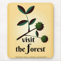 Visit the forest USA vintage poster.