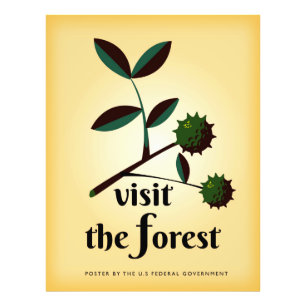 Visit the forest USA vintage poster. Photo Print