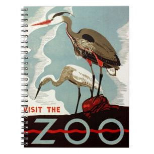 Visit the Zoo Notebook