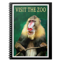 Visit the Zoo, vintage travel poster