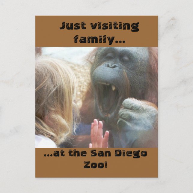 Visiting Family at the San Diego Zoo Postcard (Front)
