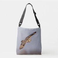 Visitors of the Grasslands: Short-Eared Owls