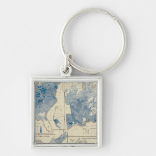 Vital statistics, United States census Key Ring