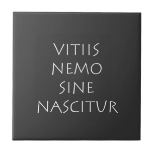 Vitiis nemo sine nascitur tile