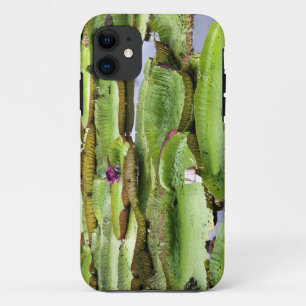 Vitoria Regis, giant water lilies in the Amazon Case-Mate iPhone Case