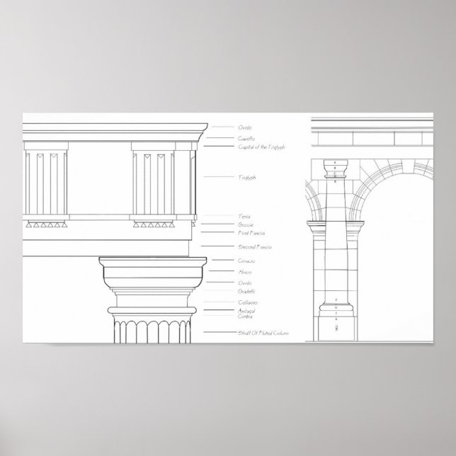 Vitruvian Details Poster (Front)