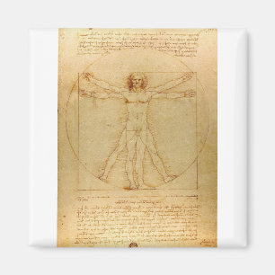 Vitruvian Man by Leonardo da Vinci Magnet