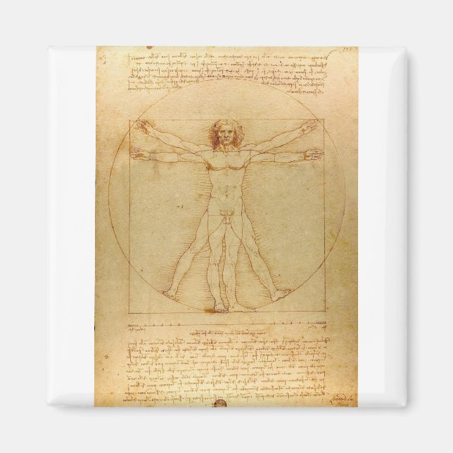 Vitruvian Man by Leonardo da Vinci Magnet (Front)