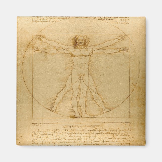 Vitruvian Man by Leonardo da Vinci Magnet (Front)