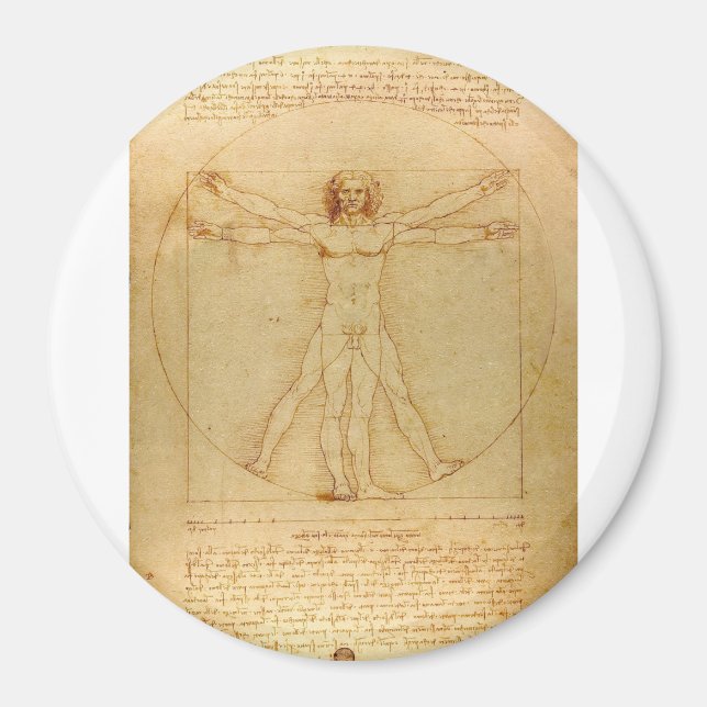 Vitruvian Man by Leonardo da Vinci Magnet (Front)