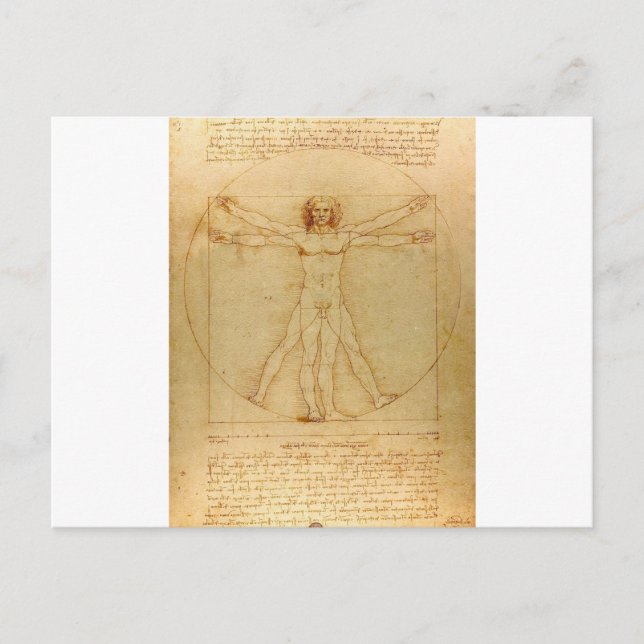 Vitruvian Man by Leonardo da Vinci Postcard (Front)
