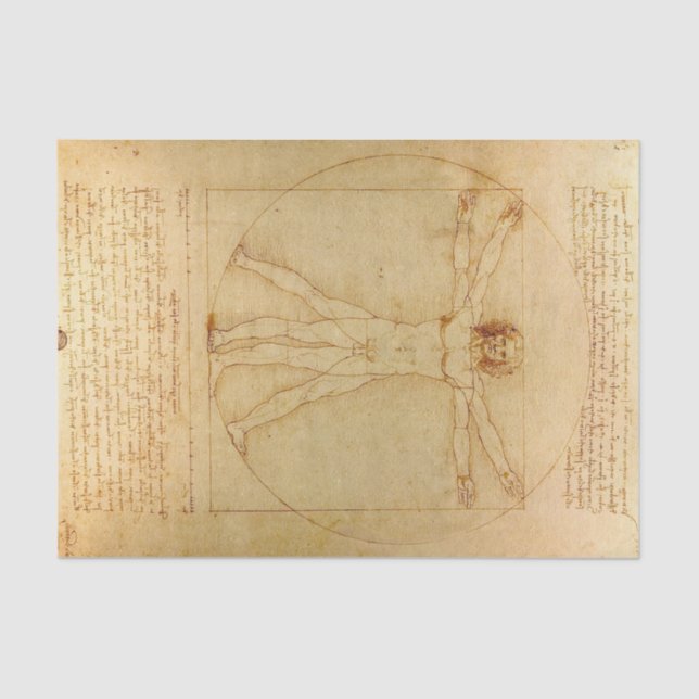 Vitruvian Man by Leonardo Da Vinci Tissue Paper (Front)