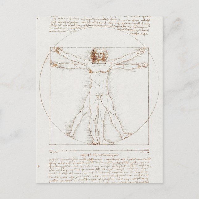 Vitruvian Man Da Vinci  Postcard (Front)
