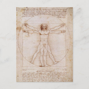 Vitruvian Man Postcard