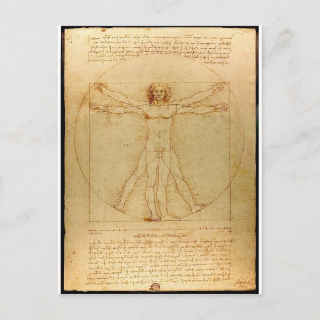 Vitruvian man. postcard (Front)