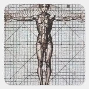 Vitruvian Man (Vitruvius: De architectura) Square Sticker