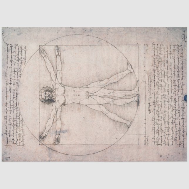 Vitruvian ManVitruvian Man, Leonardo da Vinci Tissue Paper (Front)
