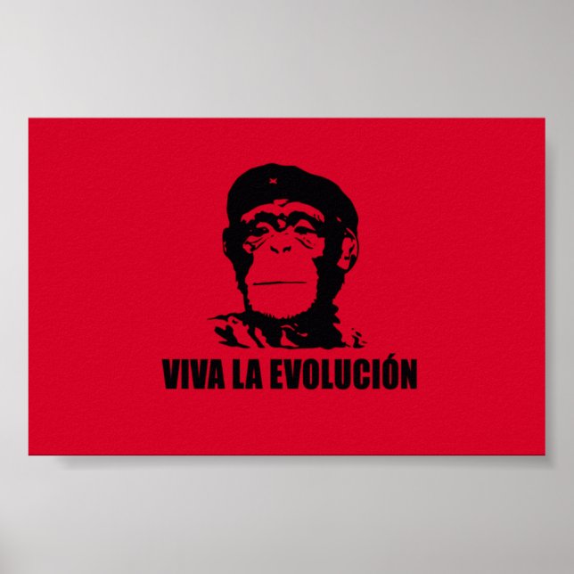 Viva La Evolucion Poster (Front)