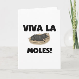 Viva La Moles Card
