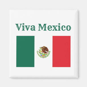 Viva Mexico Flag Magnet