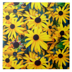Vivid Black Eyed Susan Rudbeckia Melange Tile