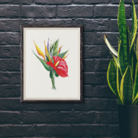 Vivid blooms of Red Anthurium Birds Of Paradise