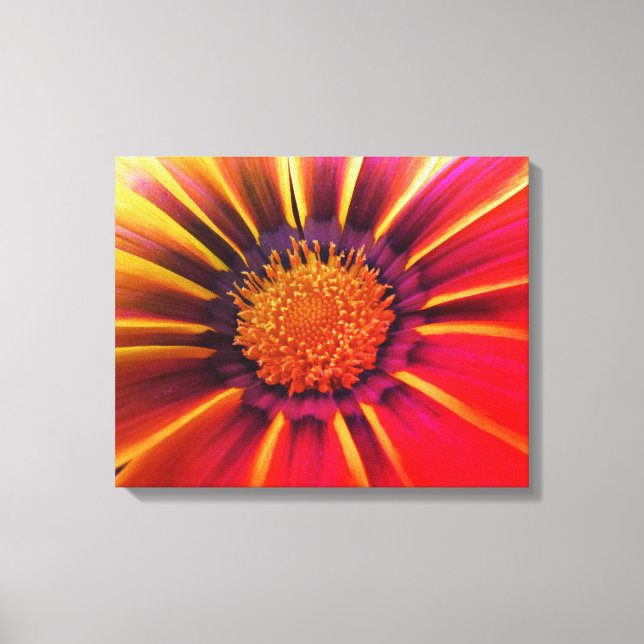 Vivid Colour Gerber Daisy Canvas Print (Front)
