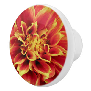 Vivid Orange Dahlia Closeup Drawer Knob