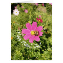 Vivid Pink Cosmos Flower Mother's Day Card