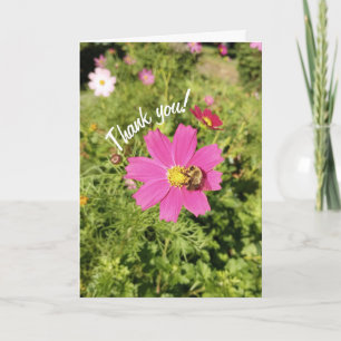 Vivid Pink Cosmos Flower Thank You Card