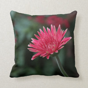 Vivid Pink Gerbera Daisy on Green Background Cushion