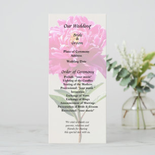 Vivid Pink Peony Programme