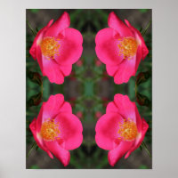 Vivid Pink Rose Petals Abstract Floral Art