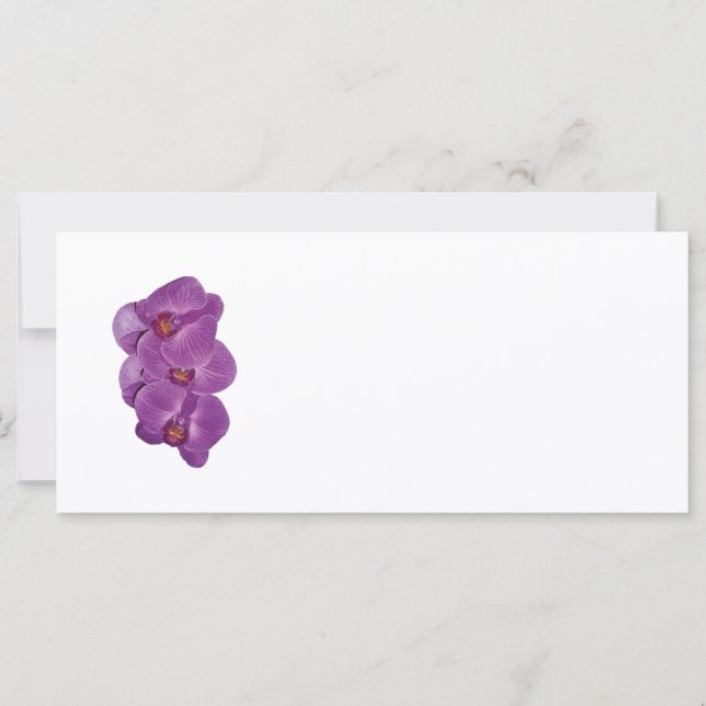 Vivid Purple Orchids (Front)