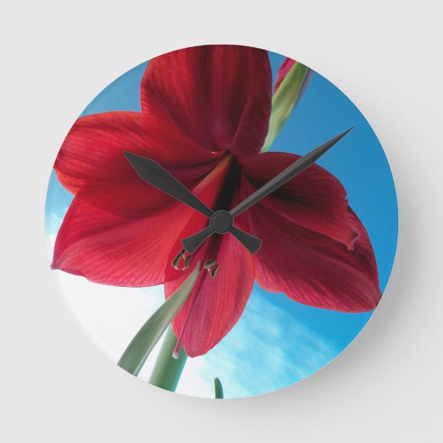 Vivid red Amaryllis Flower Round Clock (Front)