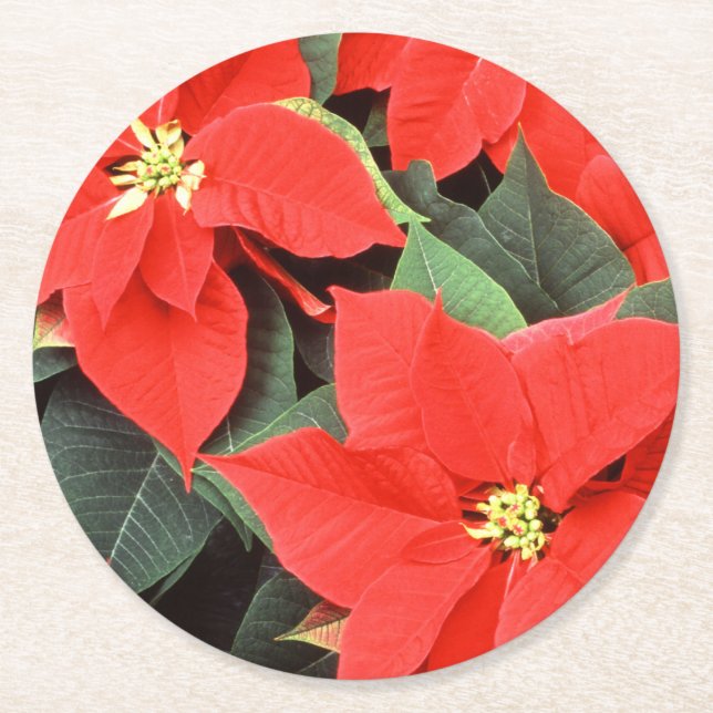 Vivid Red Christmas Poinsettias Round Paper Coaster (Front)