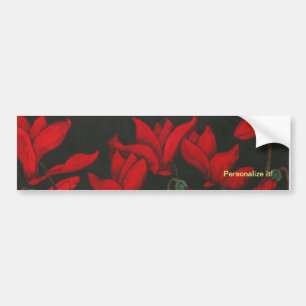 Vivid red Cyclamen on a dark black background Bumper Sticker