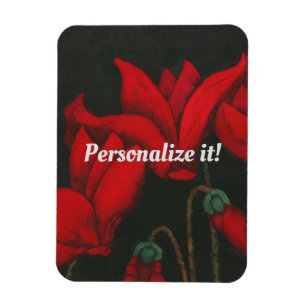 Vivid red Cyclamen on a dark black background Magnet