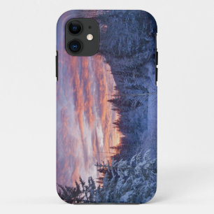 Vivid sunset paints the sky above wintery iPhone 11 case