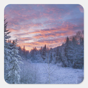 Vivid sunset paints the sky above wintery square sticker