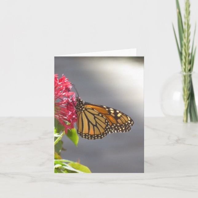 Vivid Tropical Butterfly Folded Greeting Card (Front)