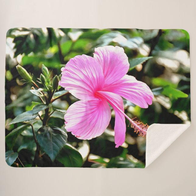Vivid Tropical Pink Hibiscus Sherpa Blanket (Front (Horizontal))
