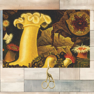 Vivid Vintage Sea Life Anemones and Coral on Black Tissue Paper