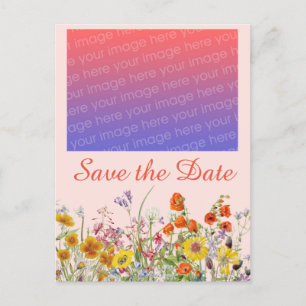 Vivid Wildflowers Postcard