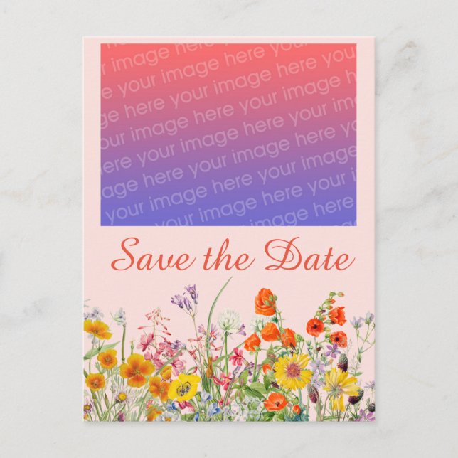 Vivid Wildflowers   Postcard (Front)