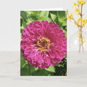 Vivid Zinnia Flower Photo Card