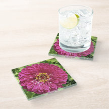 Vivid Zinnia Flower Photo