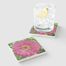 Vivid Zinnia Flower Photo